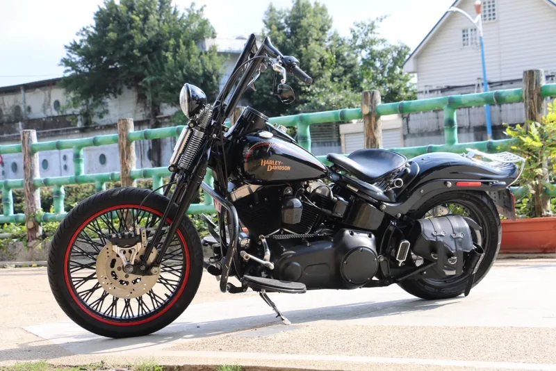 Harley-Davidson 哈雷 大彈簧 CROSS BONES．第 6 張