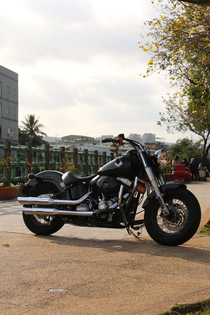 哈雷 Harley-Davidson Softail Slim 司令 美國隊長．第 13 張