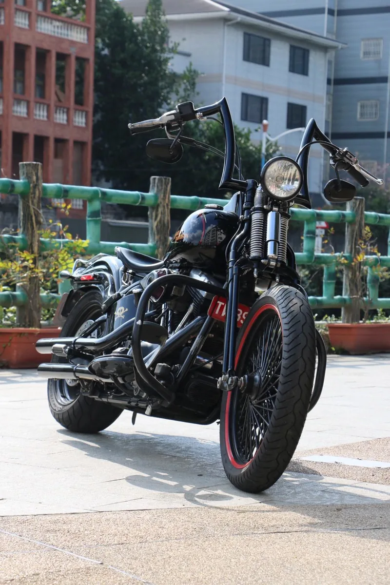 Harley-Davidson 哈雷 大彈簧 CROSS BONES．第 3 張