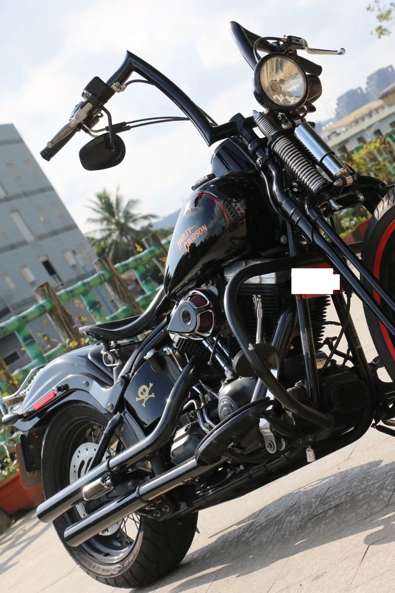 Harley-Davidson 哈雷 大彈簧 CROSS BONES．第 13 張