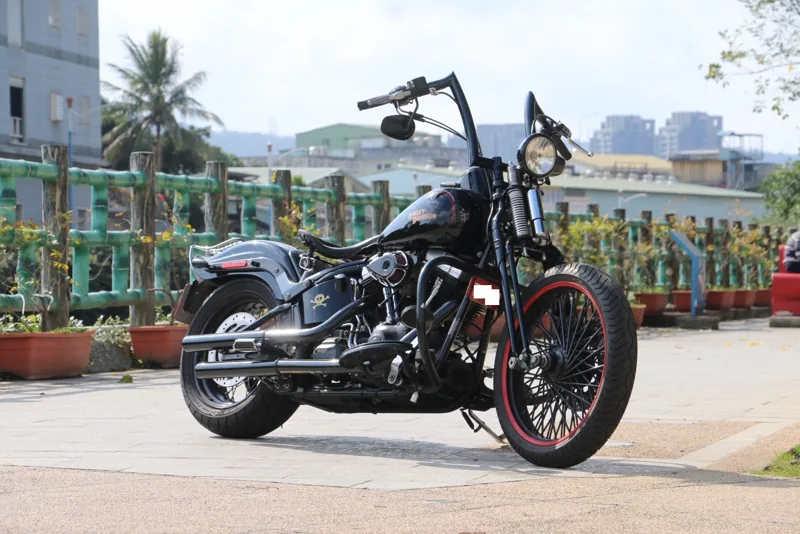 Harley-Davidson 哈雷 大彈簧 CROSS BONES．第 19 張