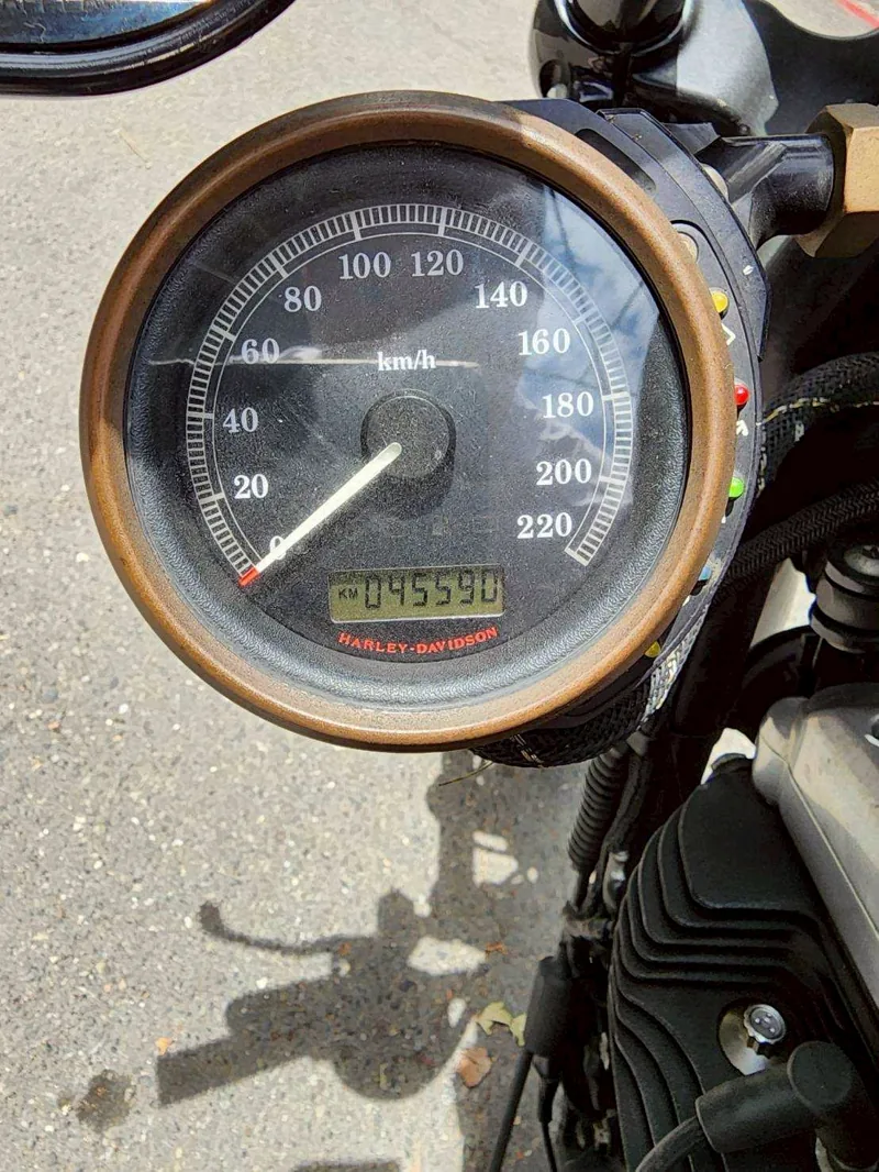 哈雷 Harley-Davidson XL1200X 48．第 5 張